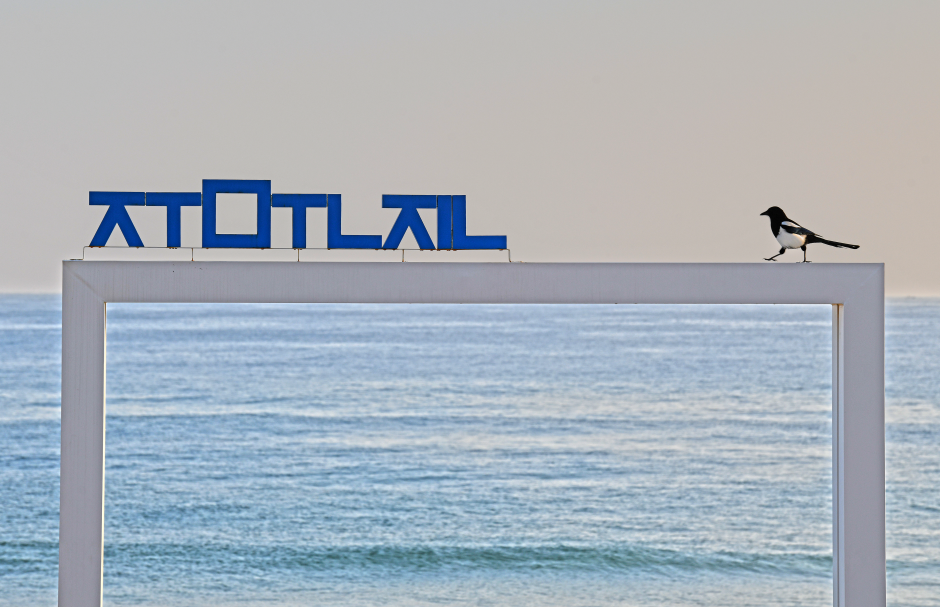 Discover Jumunjin Beach: Seafood, Vibrant Markets & Water Sports